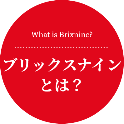 What is Brixnine?
ブリックスナインとは？”