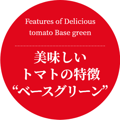 Features of Delicious tomato Base green
美味しいトマトの特徴“ベースグリーン”