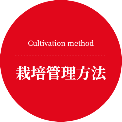 Cultivation method
栽培管理方法