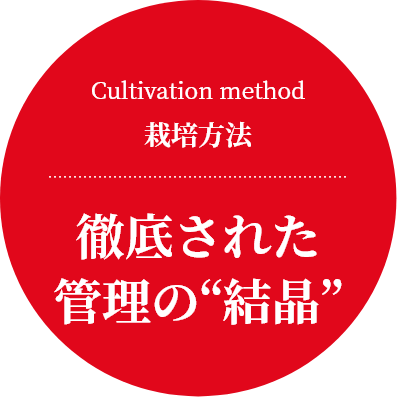 Cultivation method
栽培方法
徹底された管理の“結晶””