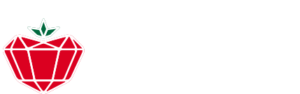 ブリクスナイン